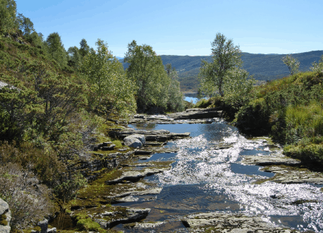 NMF går i mot av Osen kraftutbygging